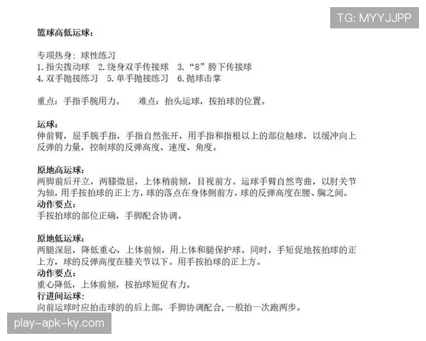 篮球比赛中判断球是否出界的五大依据与细节解析